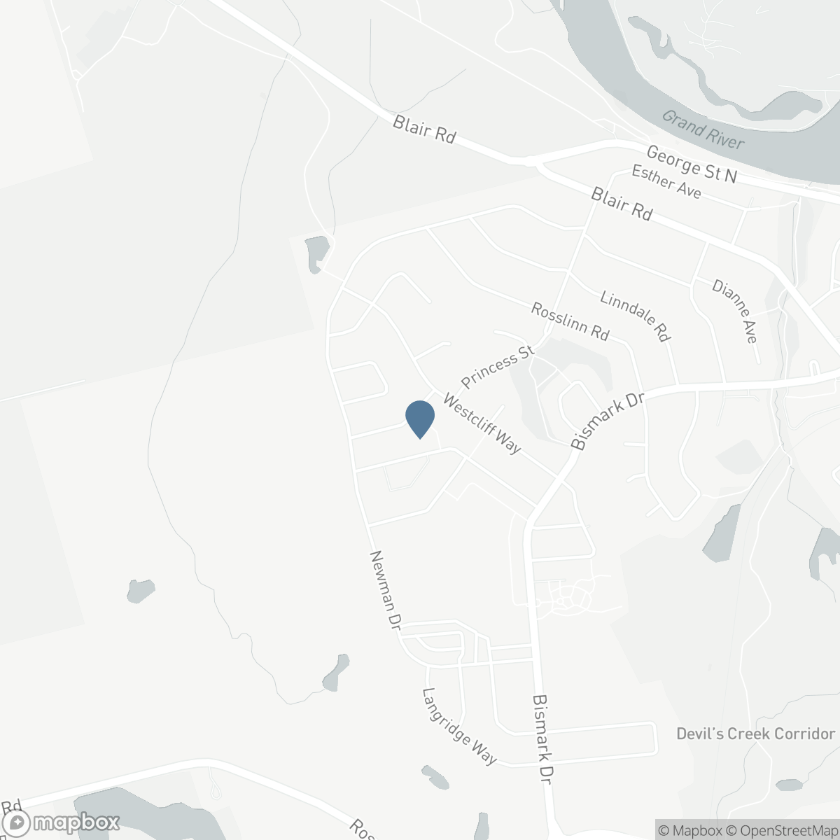17 WILKINSON AVENUE, Cambridge, Ontario N1S 0C5